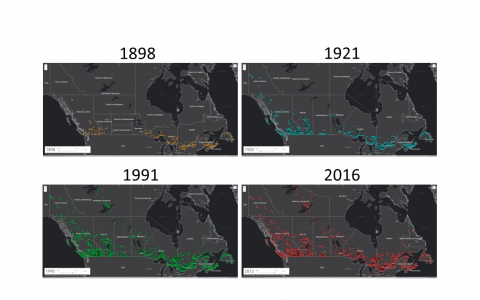 Introduction to Canadian Mining Industry - Module 2